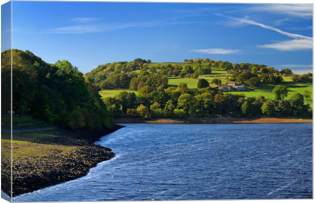 Damflask Reservoir Canvas Print by Darren Galpin