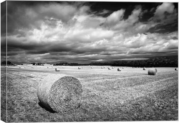  Hay Bales in South Yorkshire       Canvas Print by Darren Galpin