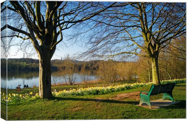 Elsecar Nature Reserve  Canvas Print by Darren Galpin