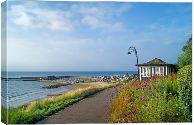 Lyme Regis Harbour from Langmoor Gardens   Canvas Print by Darren Galpin