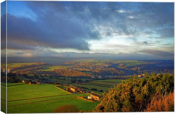 View from Castle Hill Canvas Print by Darren Galpin