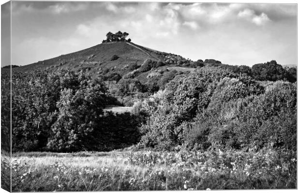 Colmers Hill Canvas Print by Darren Galpin