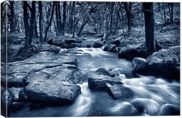 Golitha Falls Canvas Print by Darren Galpin