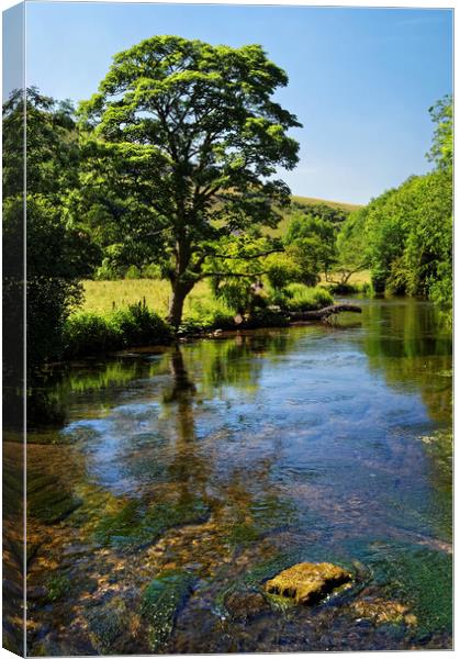 River Wye near Monsal Dale  Canvas Print by Darren Galpin