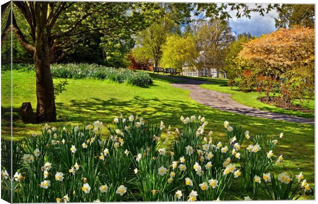 Spring in Sheffield Botanical Gardens Canvas Print by Darren Galpin