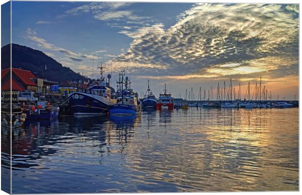 Scarborough Harbour Sunrise North Yorkshire  Canvas Print by Darren Galpin
