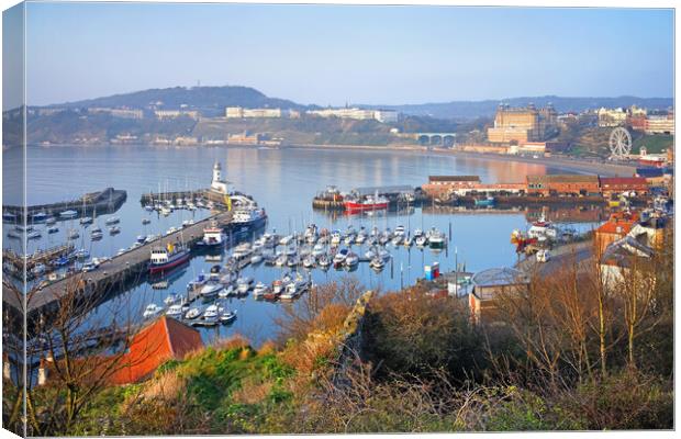 Scarborough  Harbour View, North Yorkshire Canvas Print by Darren Galpin
