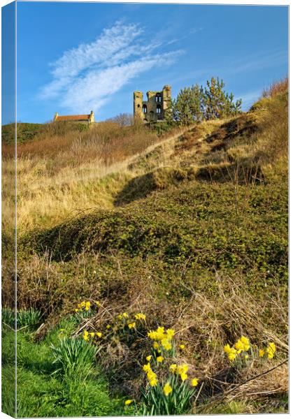 Scarborough Castle and Daffodils Canvas Print by Darren Galpin