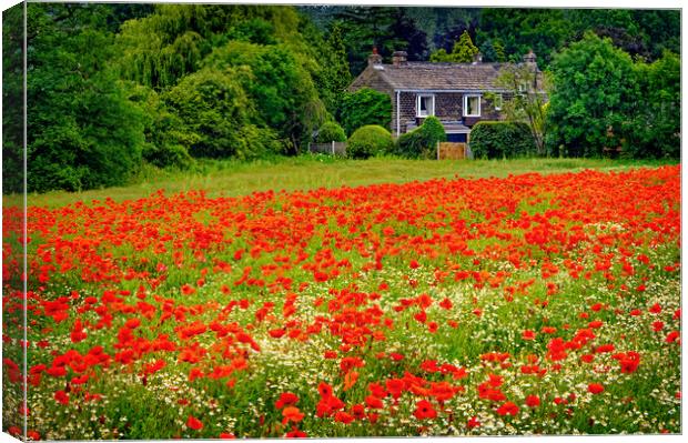 Poppies Sandal West Yorkshire Canvas Print by Darren Galpin