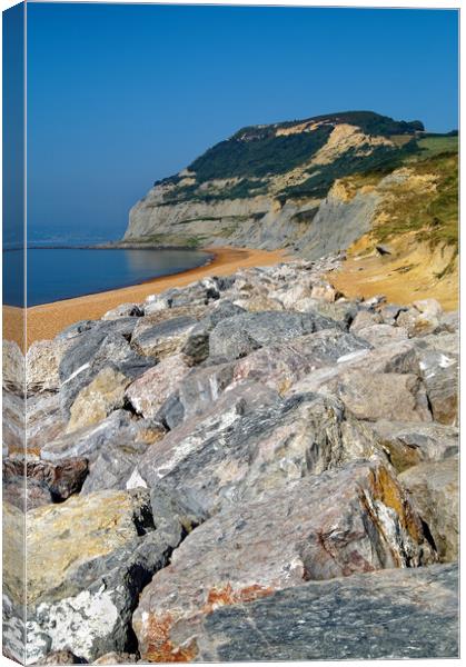 Seatown Beach and Golden Cap Canvas Print by Darren Galpin