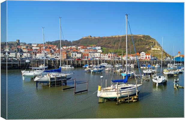 Scarborough Harbour Canvas Print by Darren Galpin