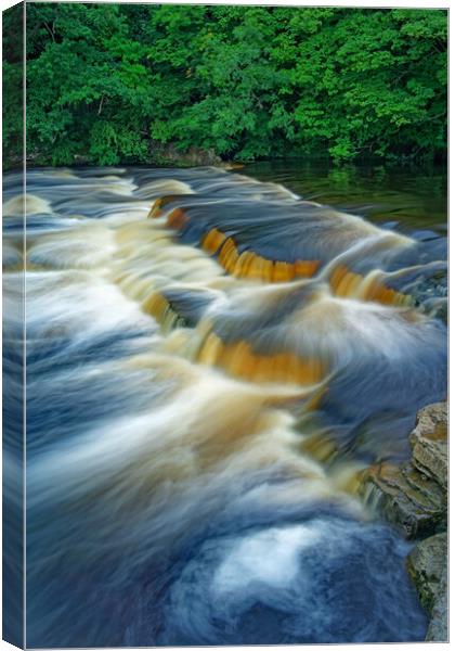 Richmond Falls Canvas Print by Darren Galpin