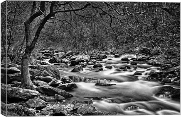 East Lyn River Canvas Print by Darren Galpin