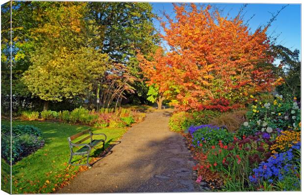 Sheffield Botanical Gardens Canvas Print by Darren Galpin