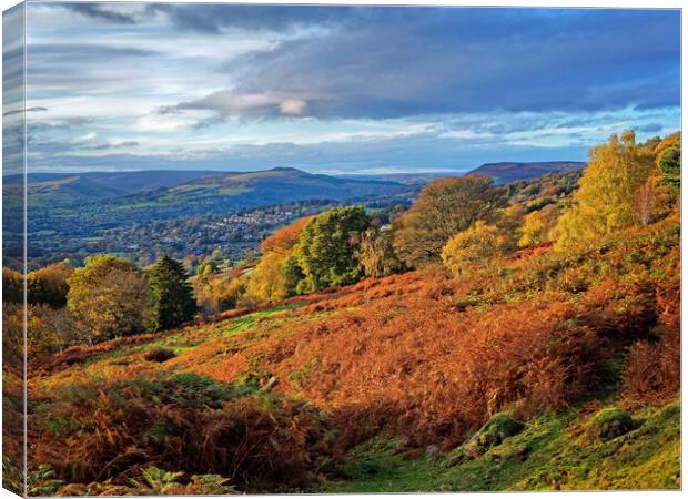 Surprise View in Autumn Canvas Print by Darren Galpin