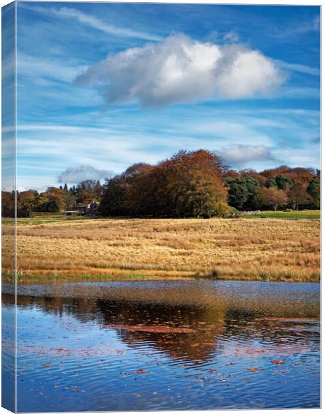 Longshaw Pond     Canvas Print by Darren Galpin