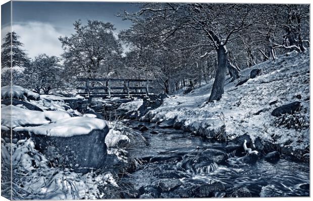 Burbage Brook in Winter  Canvas Print by Darren Galpin