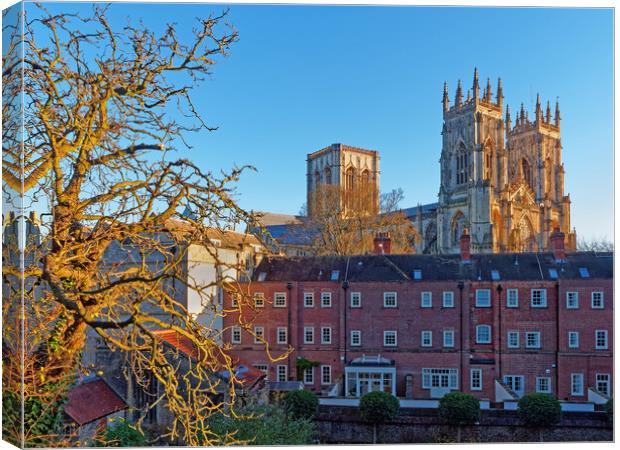 York Minster from City Wall Canvas Print by Darren Galpin
