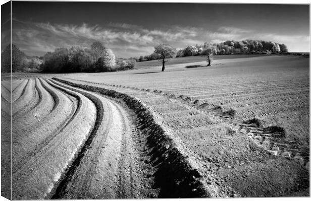 Ploughed Field, High Melton, South Yorkshire Canvas Print by Darren Galpin