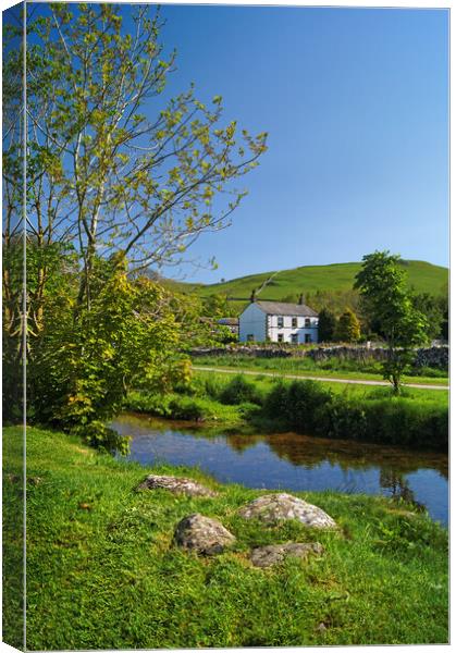 Malham Beck & Miresfield   Canvas Print by Darren Galpin