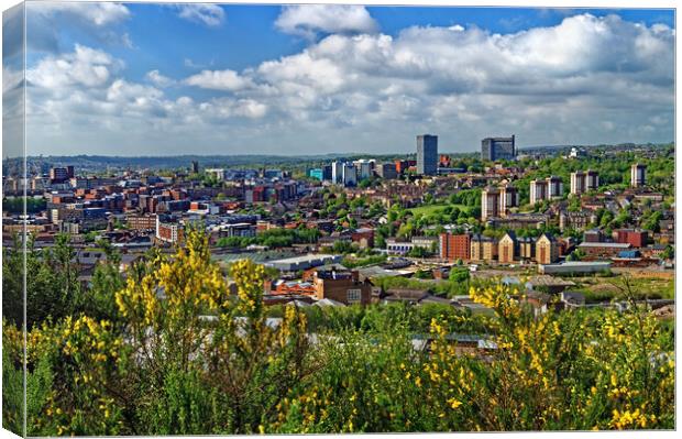 Parkwood Springs View over Sheffield Canvas Print by Darren Galpin