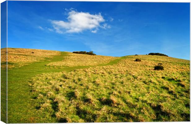 Cleeve Hill, The Cotswolds Canvas Print by Darren Galpin