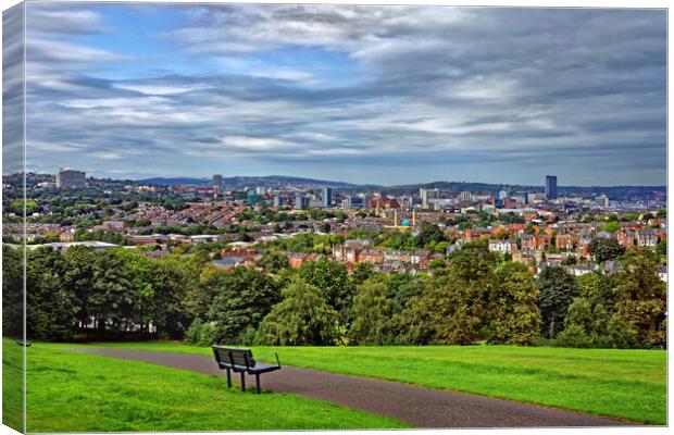 Turners View, Sheffield Canvas Print by Darren Galpin