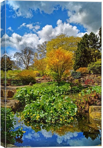 Sheffield Botanical Gardens Canvas Print by Darren Galpin