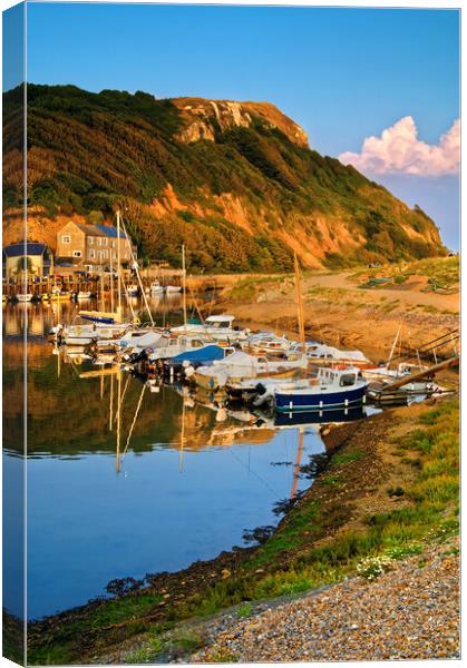 Axmouth Harbour & Haven Cliff   Canvas Print by Darren Galpin