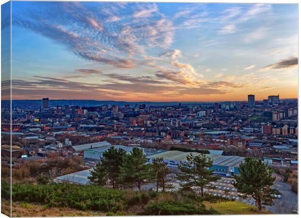 Parkwood Springs View over Sheffield Canvas Print by Darren Galpin