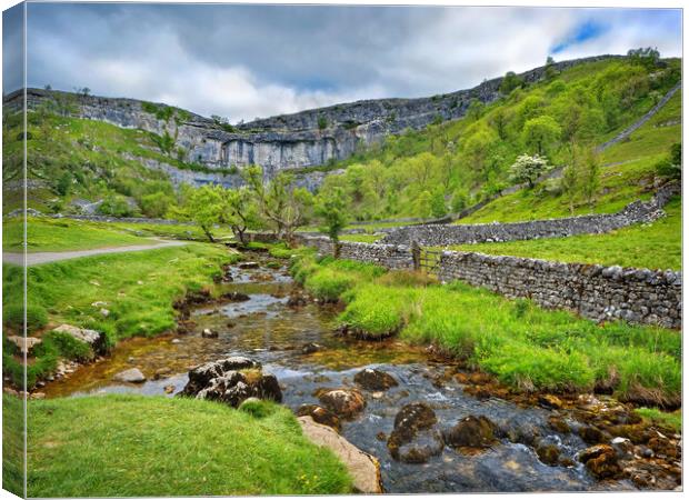 Malham Cove Canvas Print by Darren Galpin