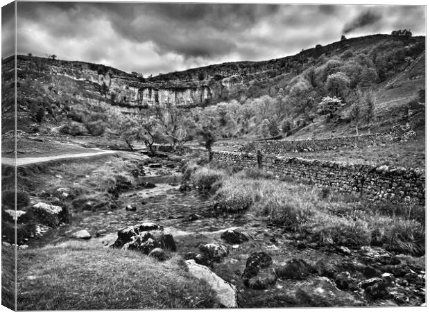 Malham Cove Canvas Print by Darren Galpin