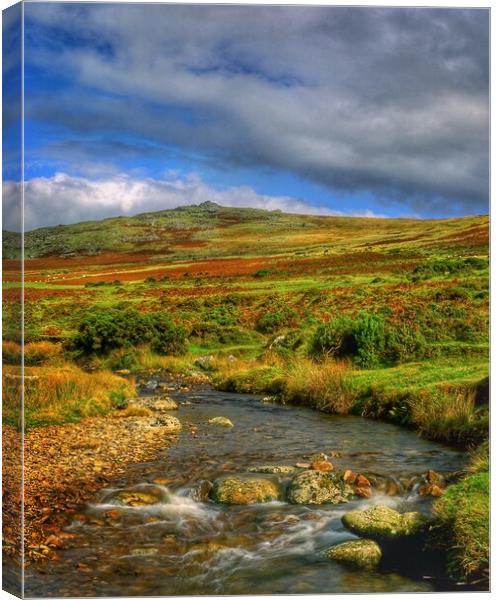 River Lyd Looking Towards Great Links Tor Canvas Print by Darren Galpin
