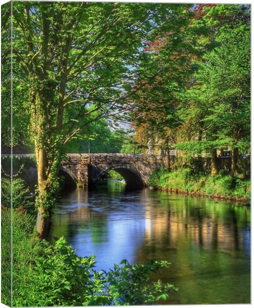 Abbey Bridge and River Tavy Canvas Print by Darren Galpin