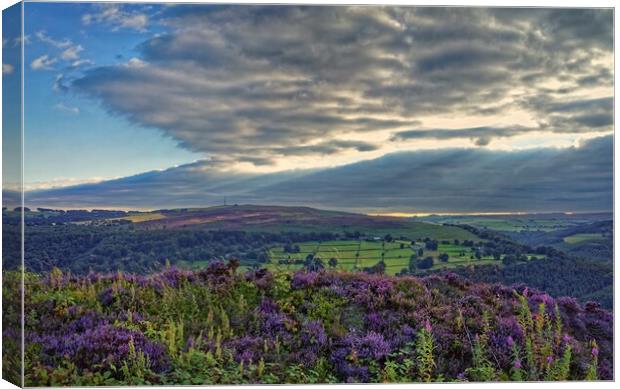 Surprise View Sunset Canvas Print by Darren Galpin