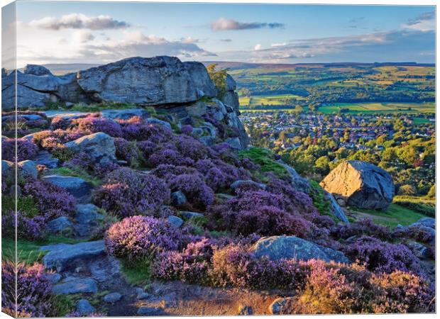 The Cow and Calf Rocks, Ilkley Canvas Print by Darren Galpin