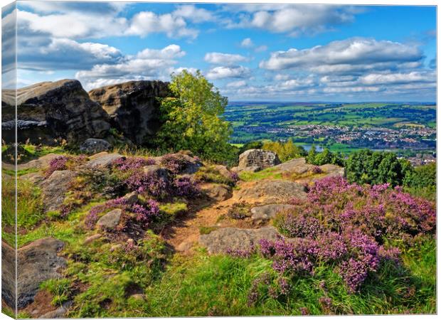 Surprise View at Otley Chevin  Canvas Print by Darren Galpin