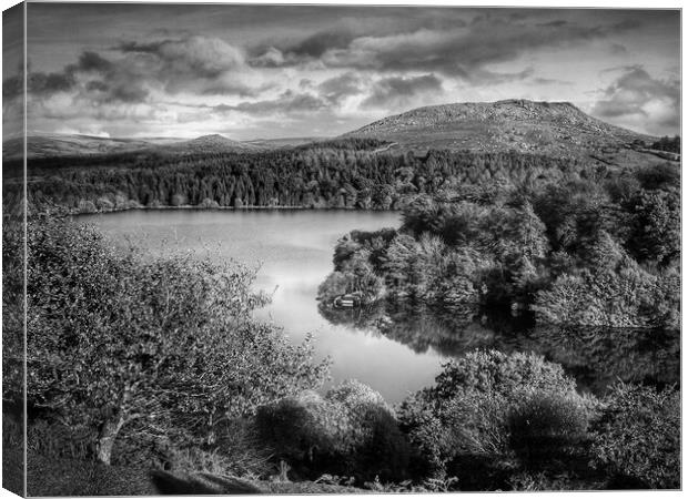 Burrator Reservoir and Sheeps Tor    Canvas Print by Darren Galpin