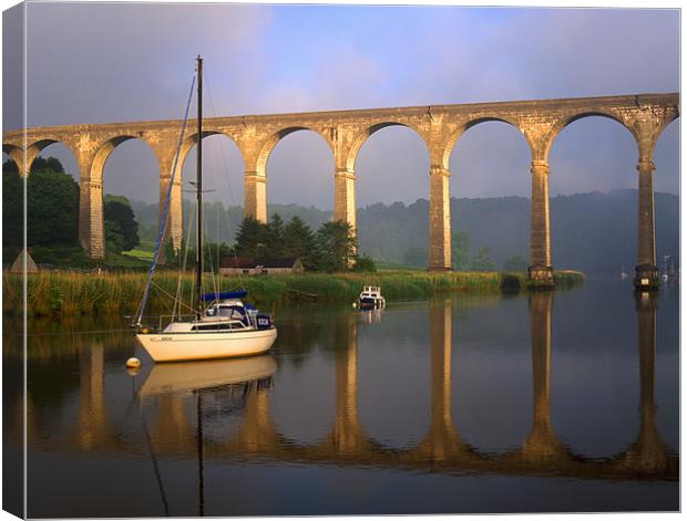 Calstock Viaduct & River Tamar Canvas Print by Darren Galpin