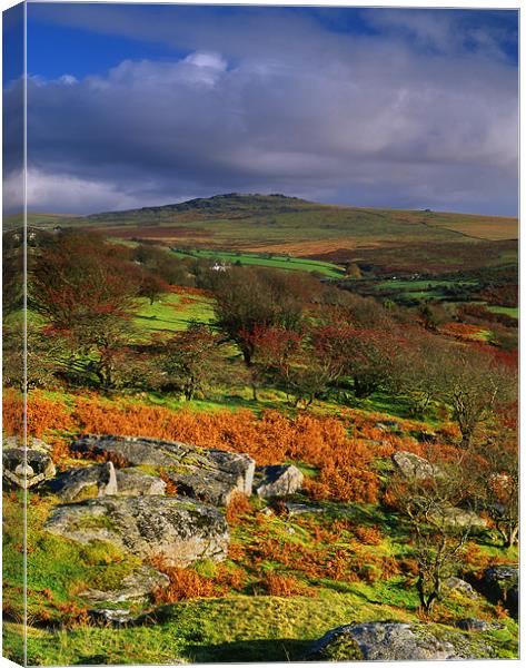 Great Mis Tor from Vixen Tor Canvas Print by Darren Galpin