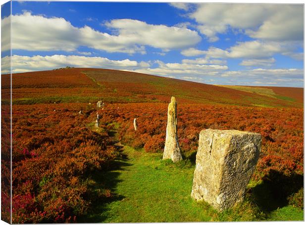 Challacombe Stone Rows Canvas Print by Darren Galpin