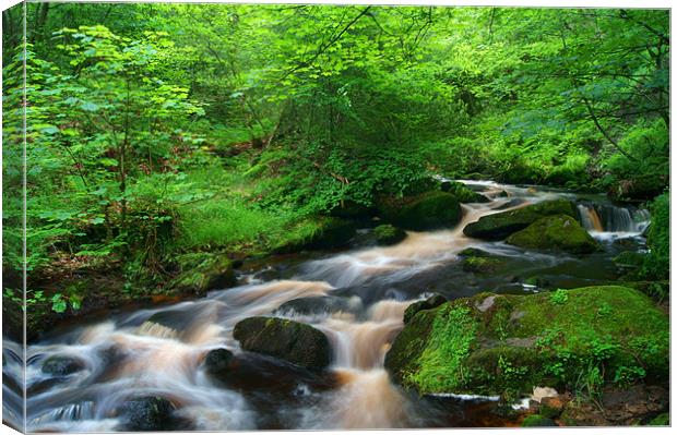 Wyming Brook Canvas Print by Darren Galpin