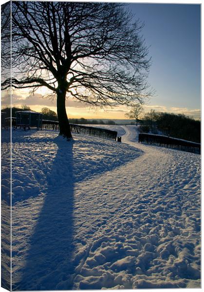 Footpath Through The Snow Canvas Print by Darren Galpin