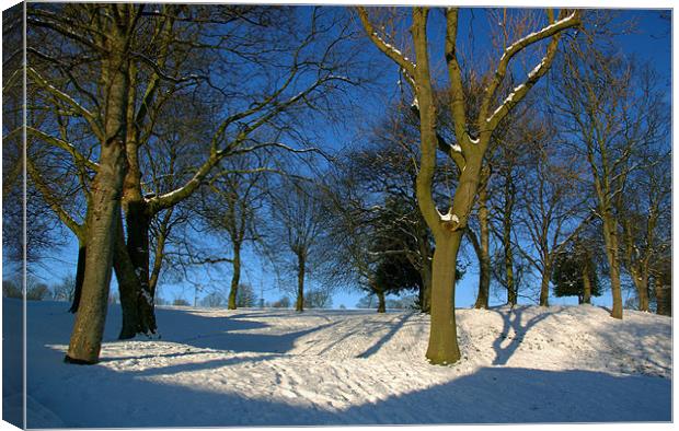 Winter in the Park Canvas Print by Darren Galpin