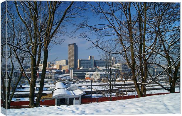 Sheffield viewed from Park Hill Canvas Print by Darren Galpin