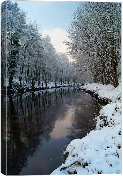 River Don Reflections Canvas Print by Darren Galpin