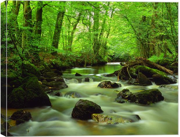 River Yealm at Yealmpton Canvas Print by Darren Galpin