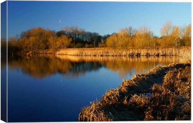 Denaby Ings Nature Reserve Canvas Print by Darren Galpin