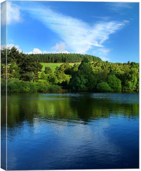 Dale Dyke Reservoir,South Yorkshire,Peak District Canvas Print by Darren Galpin