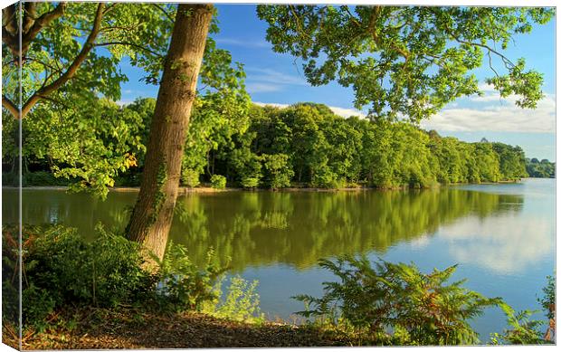 Chard Reservoir Canvas Print by Darren Galpin